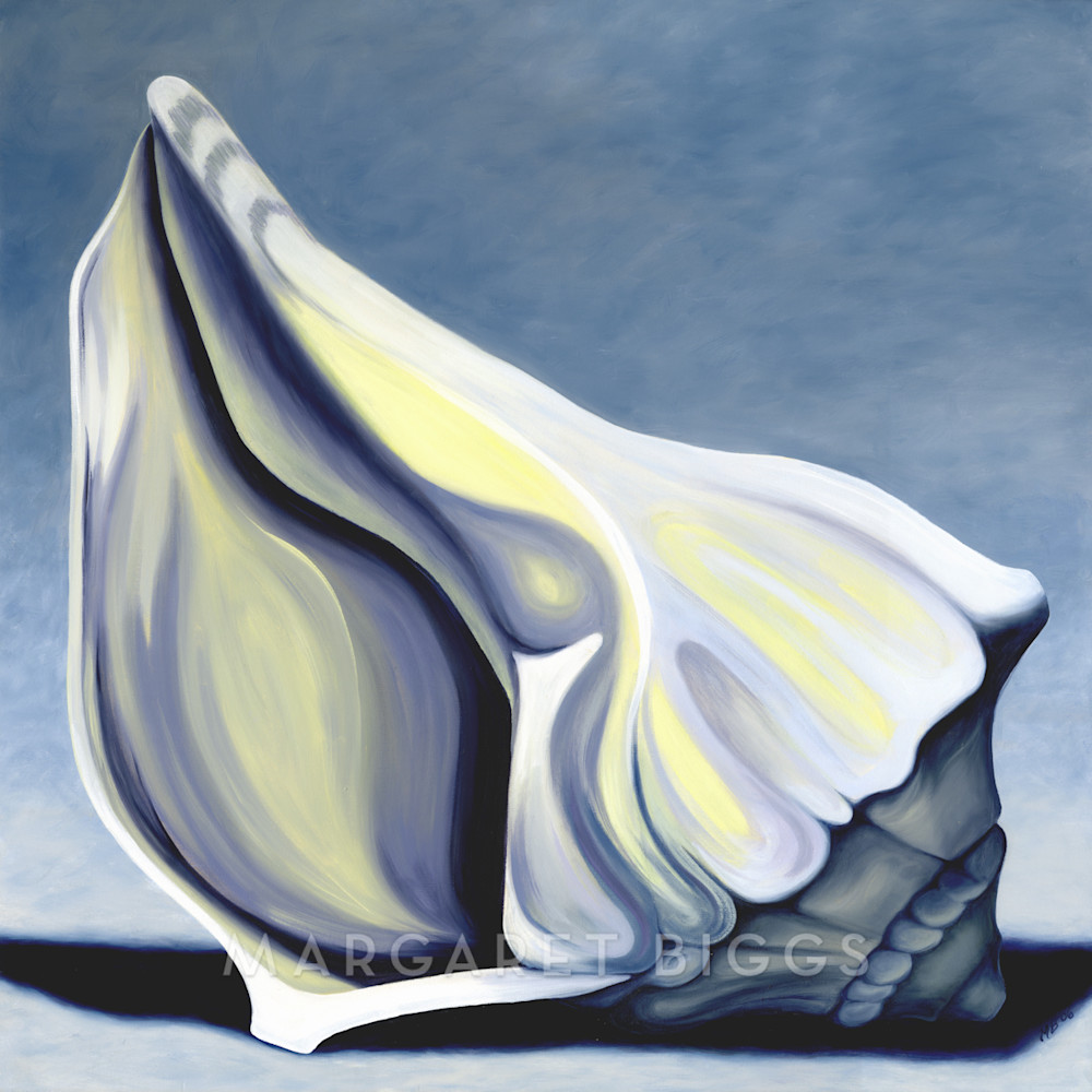 Adam's Shell Art | Margaret Biggs Fine Art