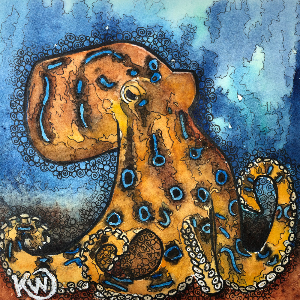 tempereret Konsulat Kro Blue Ringed Octopus Art | Water+Ink Studios