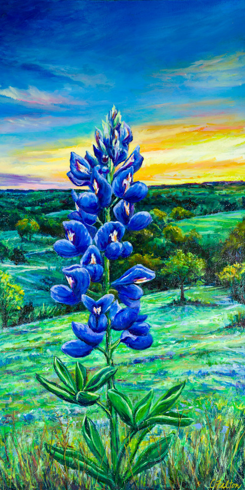 Bluebonnet Hill Art | Channe Felton Fine Art