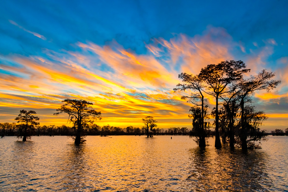 New Year Rising - Louisiana swamp sunrise photography prints