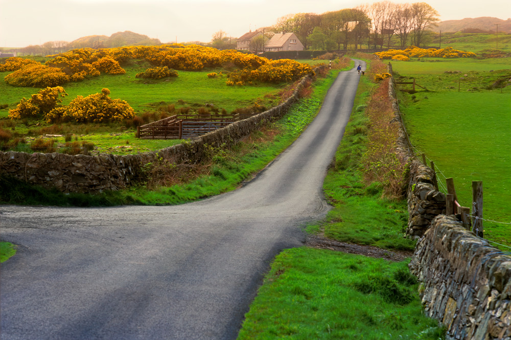 Rush Hour on Islay