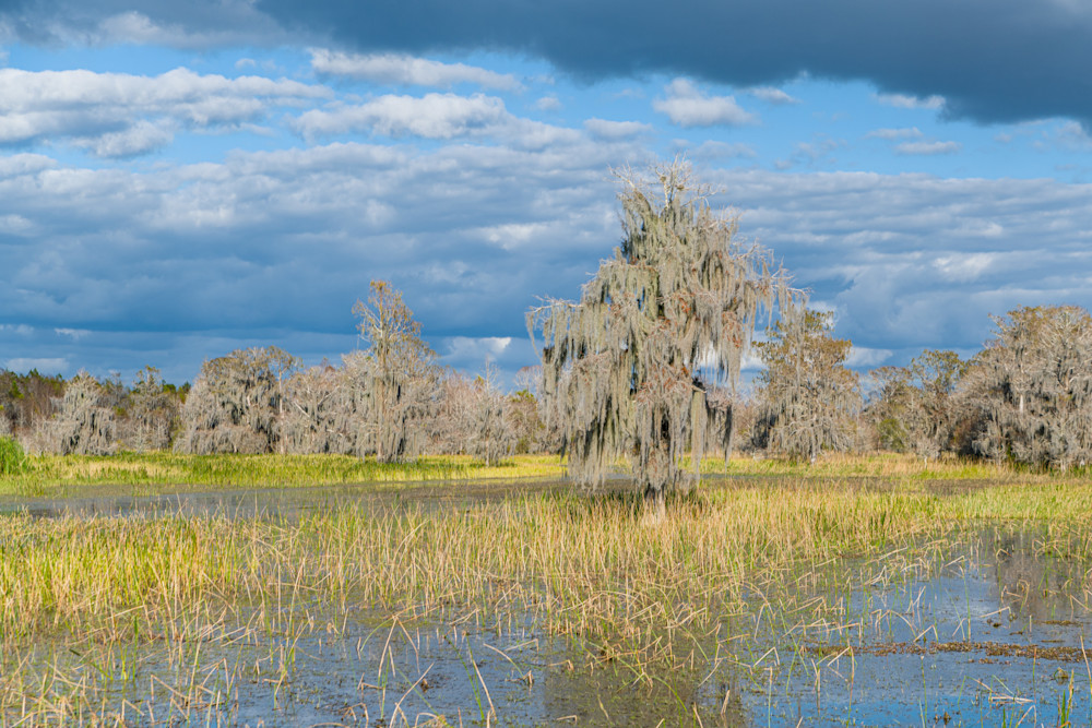 Waterline Photography Art | kramkranphoto