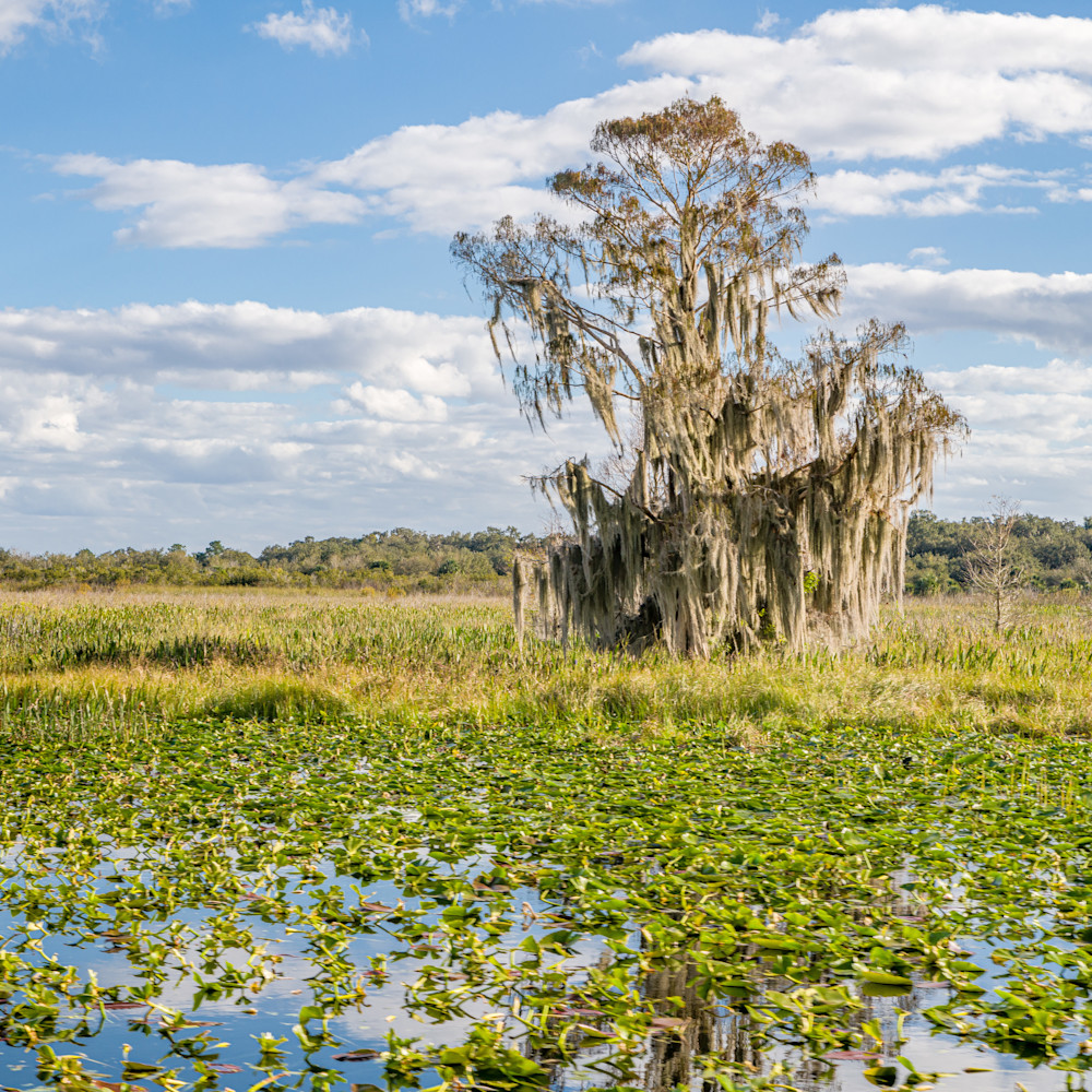 Seminole Wind Photography Art | kramkranphoto