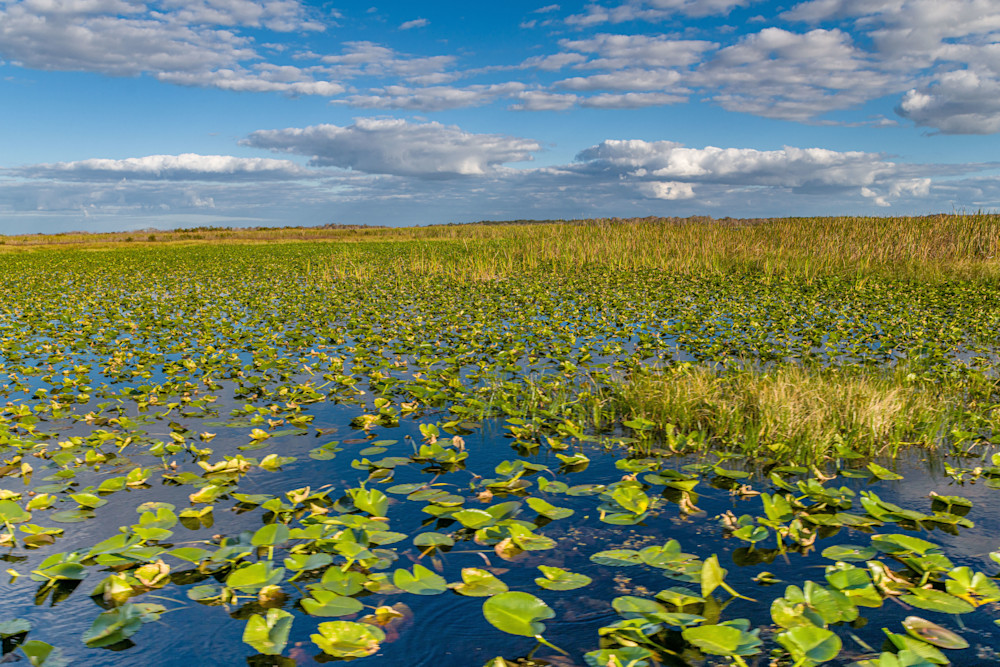 Airboat Access Granted Photography Art | kramkranphoto
