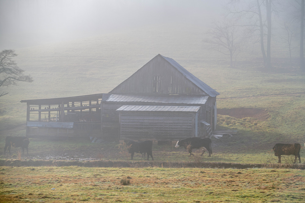 Foggy Farmstead Photography Art | kramkranphoto
