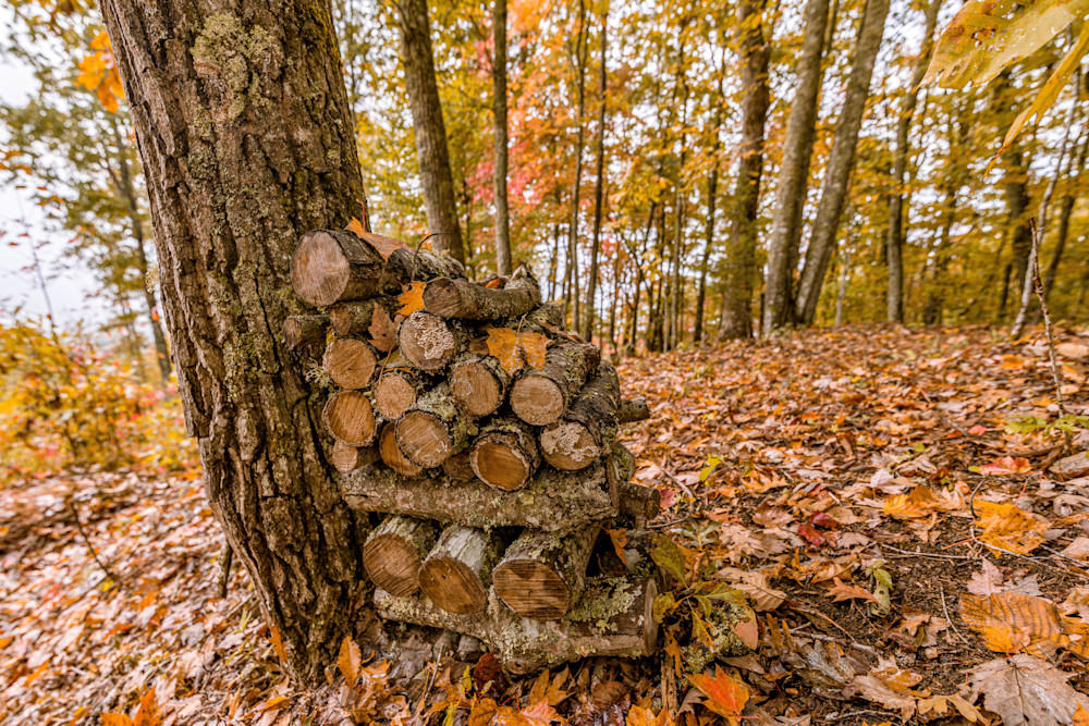 Fall Firewood Photography Art | kramkranphoto