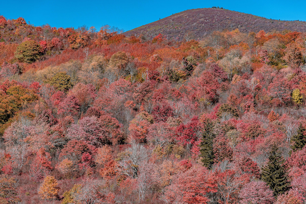 Graveyard Fields Fiery Fall Photography Art | kramkranphoto