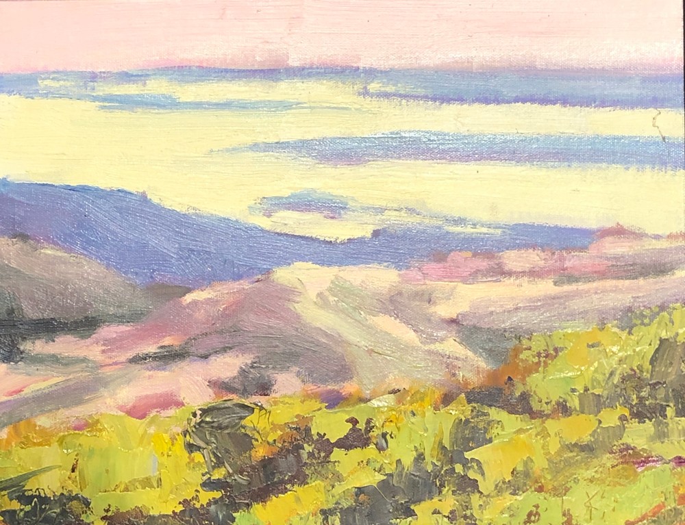 Bird S Eye View    14 X 11 Art | La Chica Art