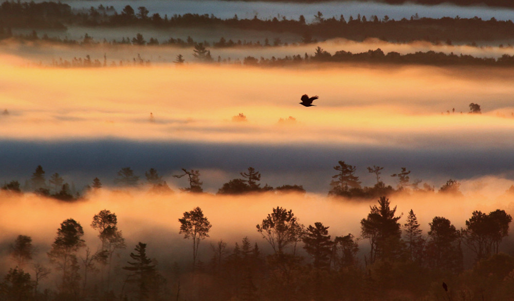 Dawn Flight Photography Art | Roger Merchant, Place-based Photographer