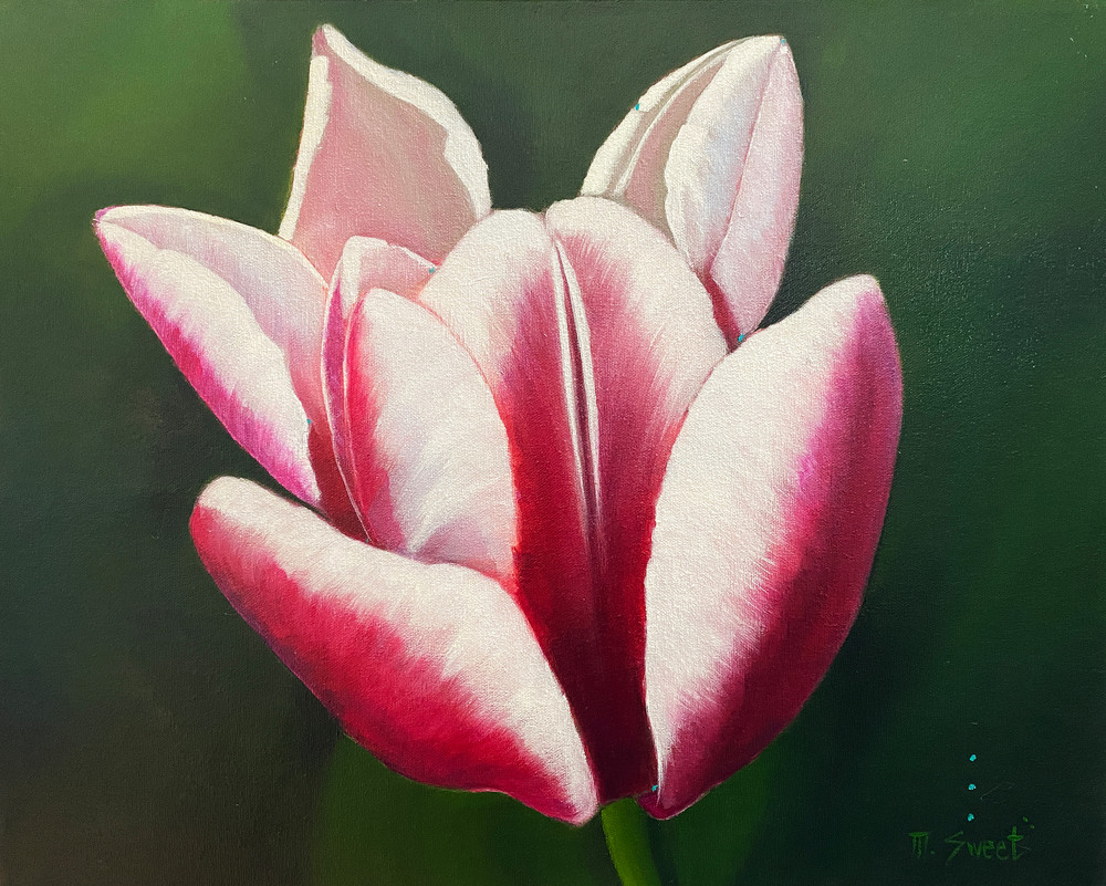 Bloom Water Lily (Print) Art | Marissa Sweet