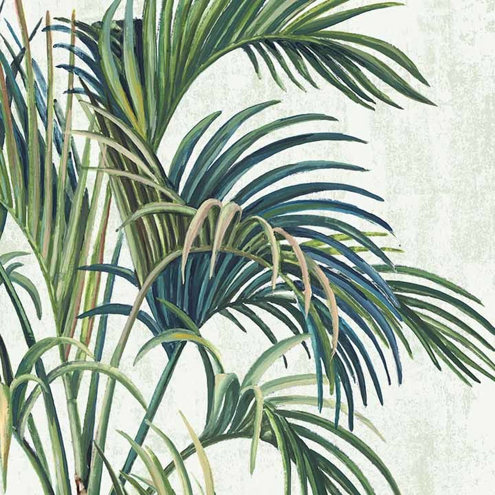 Palm Boo I Art | Surface Designed 