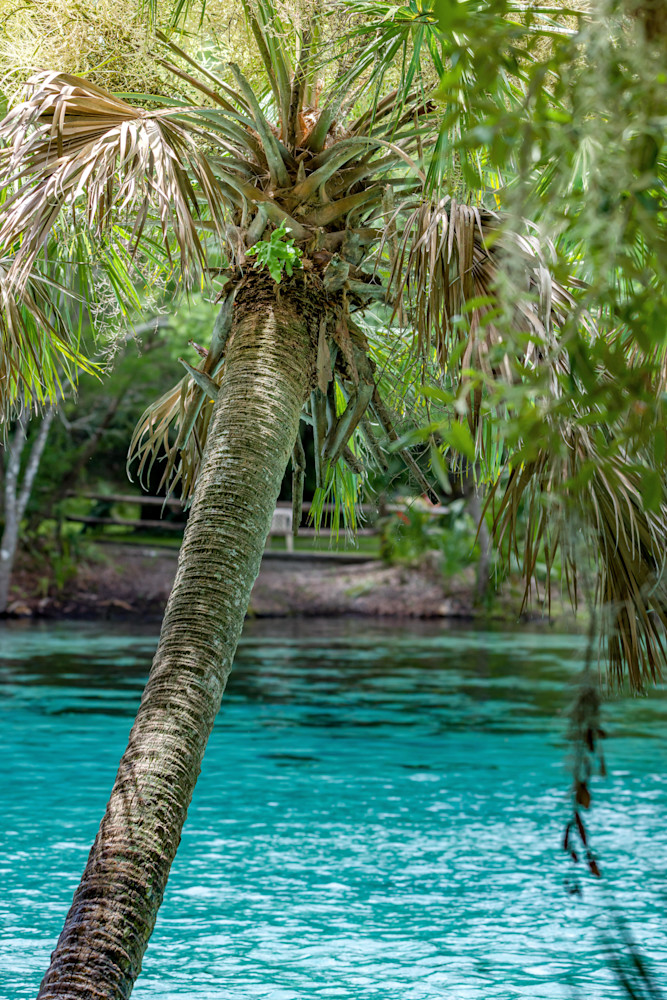 Clearly Paradise Photography Art | kramkranphoto