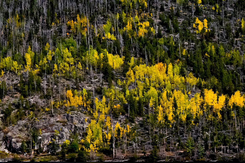 Chandler Perkins - photography - landscape - nature - Lake Granby - Colorado - Aspen Fire