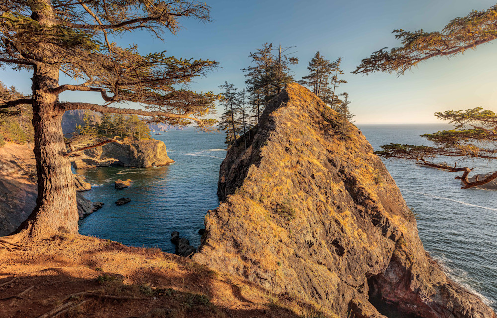 Oregon Coast, Forest and Seascape | Seascape Photography | Tim Truby 