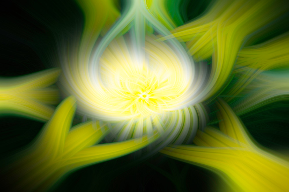 Yellow Zin Twirl Art | Gary Gallery & Gifts, LLC