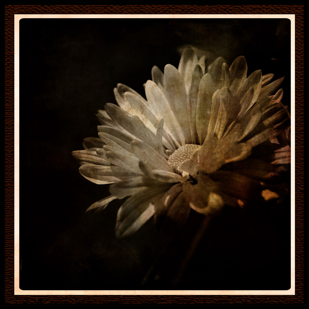 Antique Blooms 2 Art | Gary Gallery & Gifts, LLC