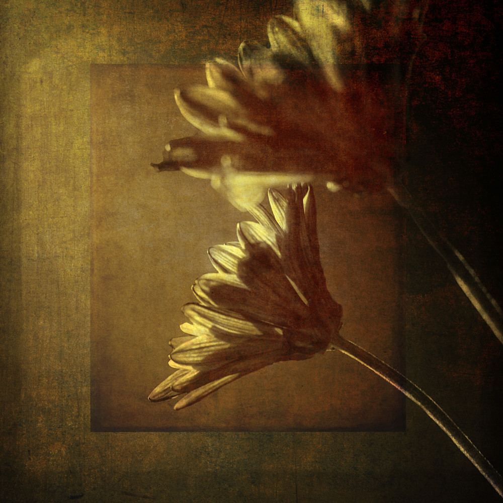 Antique Flowers 2 Art | Gary Gallery & Gifts, LLC