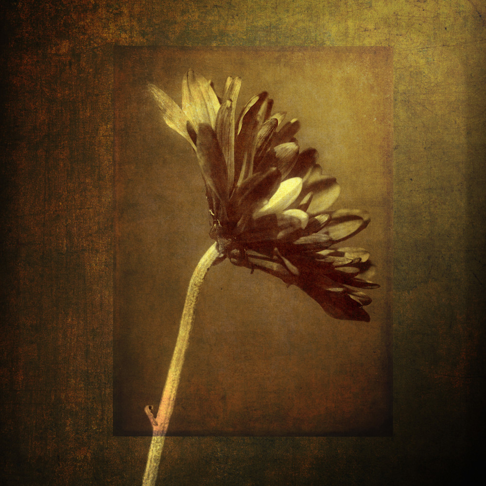 Antique Flowers 1 Art | Gary Gallery & Gifts, LLC