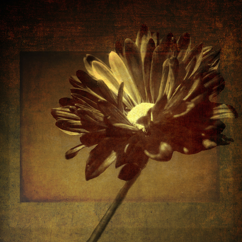 Antique Flowers 3 Art | Gary Gallery & Gifts, LLC