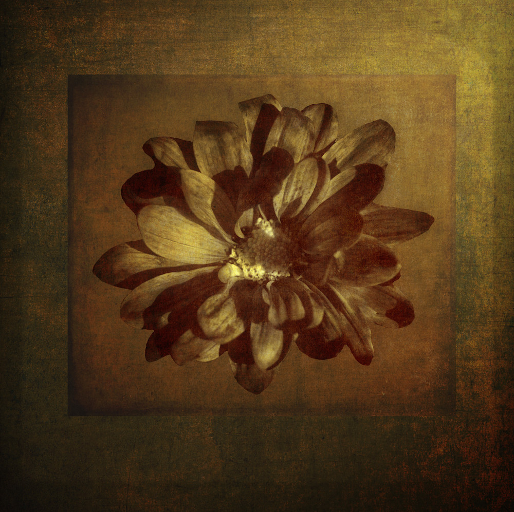 Antique Flowers 4 Art | Gary Gallery & Gifts, LLC