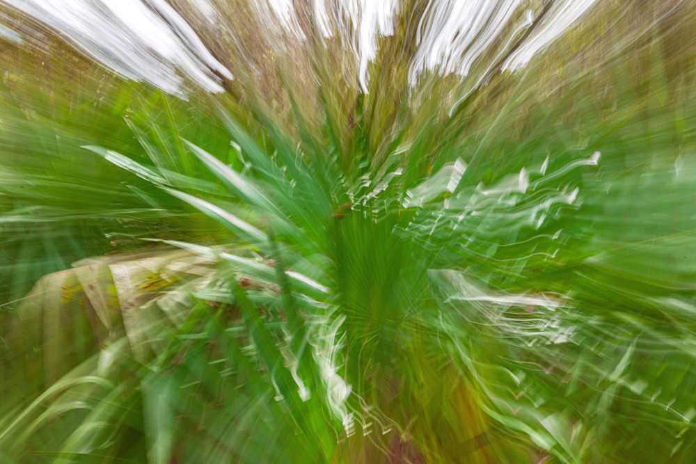 Abstract Expressions 30 Photography Art | kramkranphoto