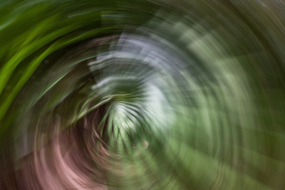 Abstract Expressions 29 Photography Art | kramkranphoto