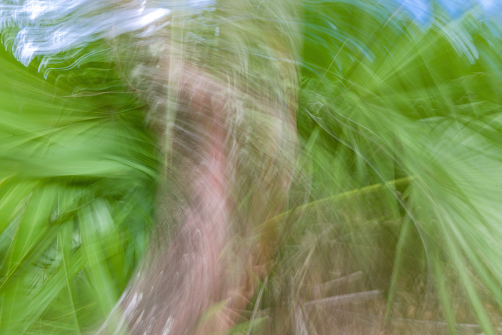 Abstract Expressions 31 Photography Art | kramkranphoto