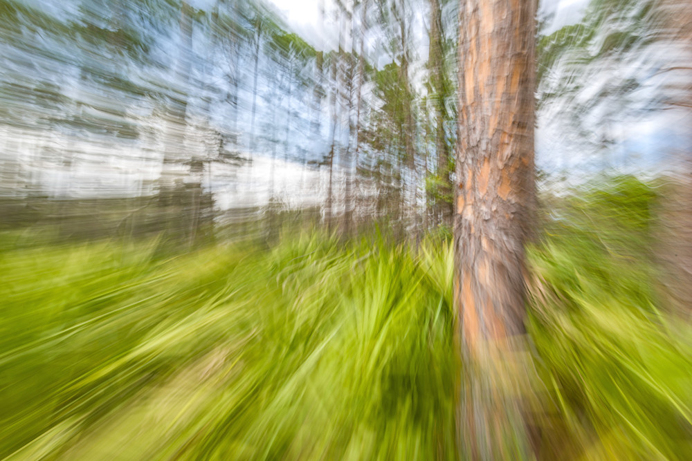 Abstract Expressions 33 Photography Art | kramkranphoto