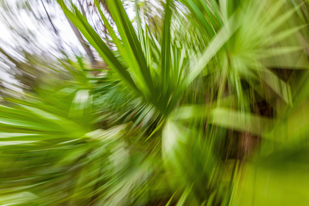 Abstract Expressions 38 Photography Art | kramkranphoto