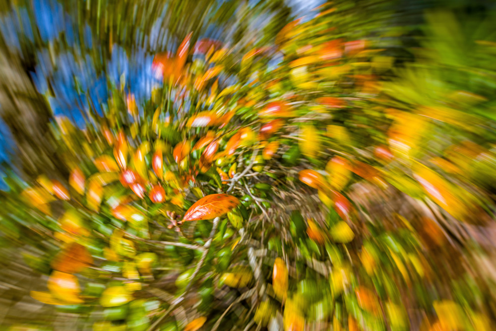 Abstract Expressions 48 Photography Art | kramkranphoto