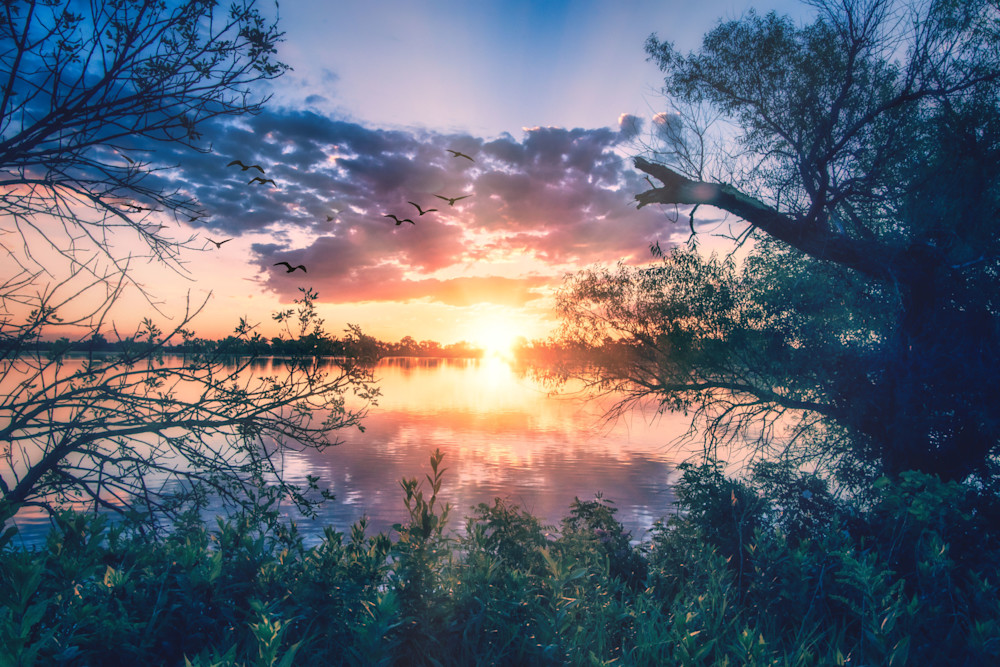 Clear Lake Sunrise Art | Gary Gallery & Gifts, LLC