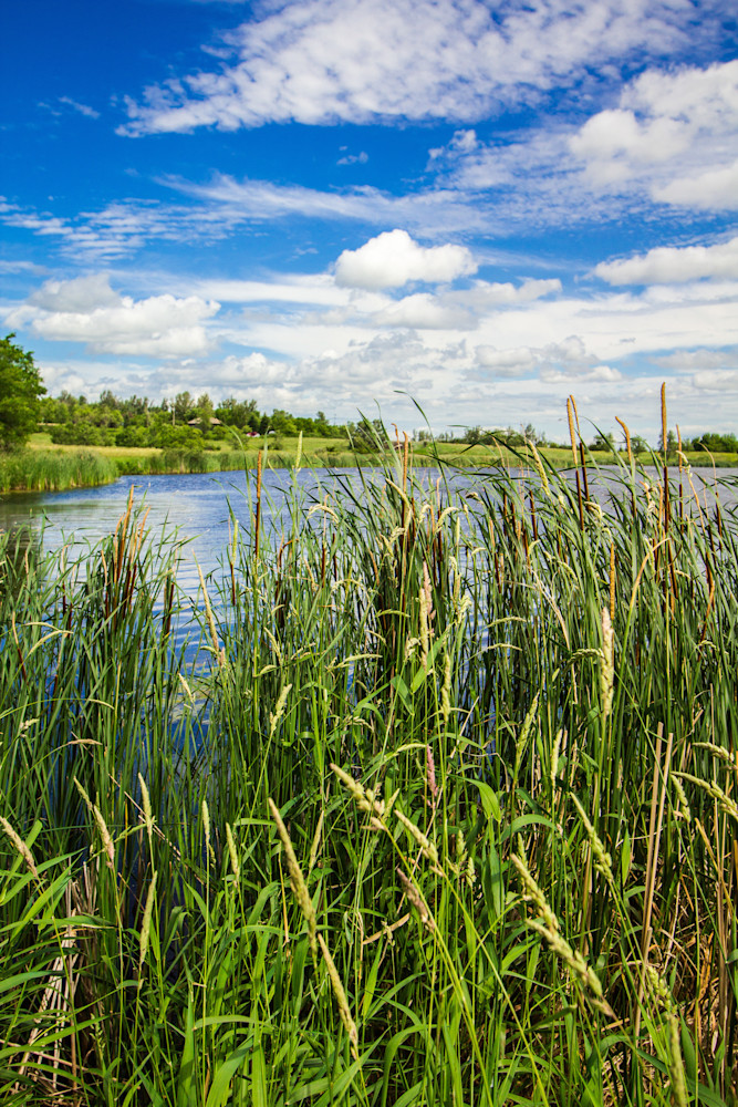 Del Clark Lake Art | Gary Gallery & Gifts, LLC