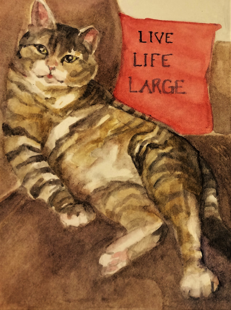 Cats Live Large