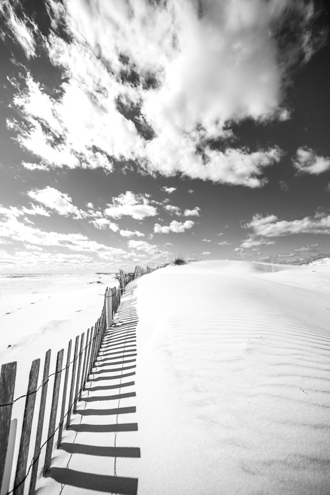 "Dune Shadows" Art | Modus Photography