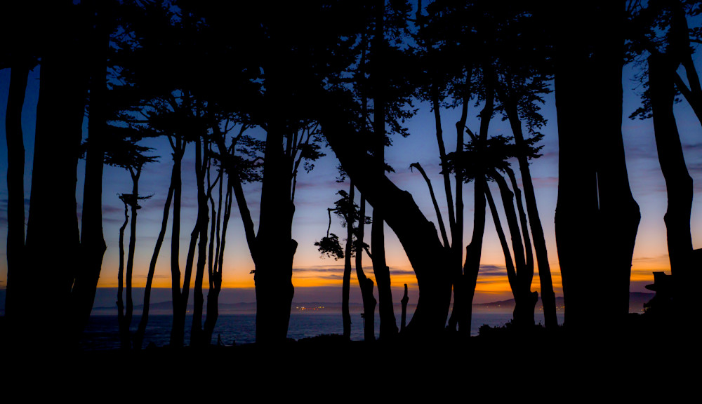 Silhouette Sunrise At Esplanade Park, Pacific Grove Photography Art | Brad Wright Photography