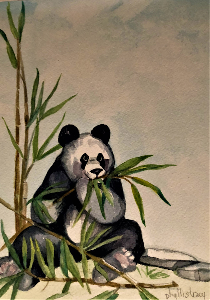 Panda's Hungr Y Art | Phyllis Tracy Fine Art