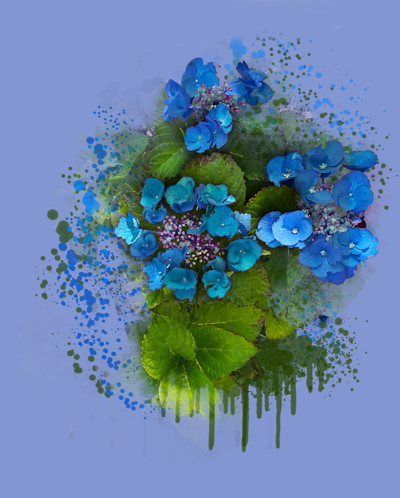 Juvenile Hydrangea (Inspired By Peter's Flowers) Art | Art from the Soul