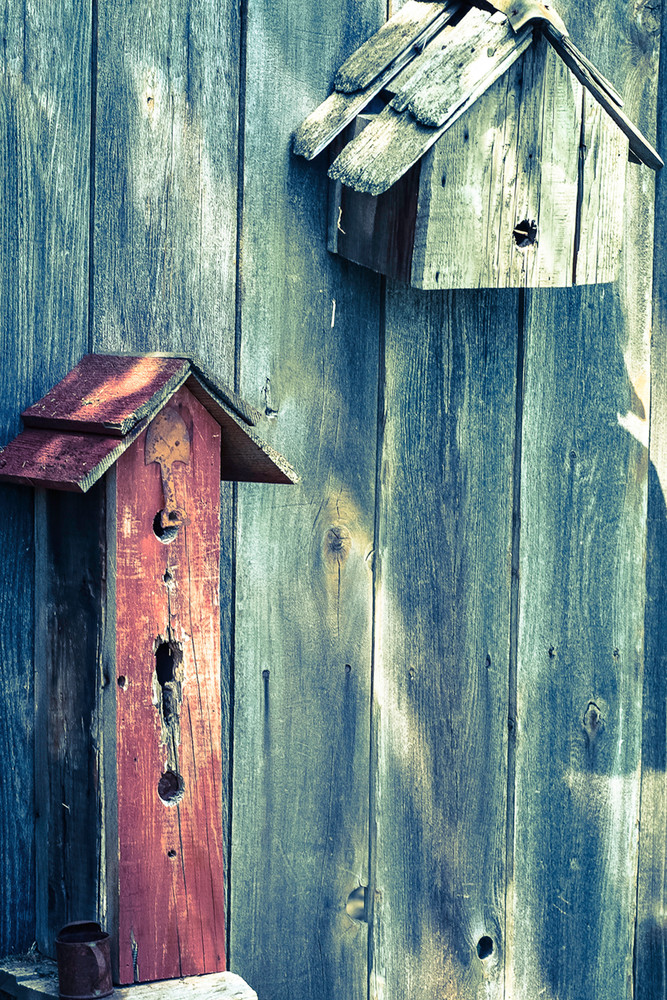 Birdhouses Art | Gary Gallery & Gifts, LLC