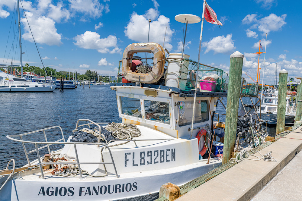 Tarpon Time Photography Art | kramkranphoto