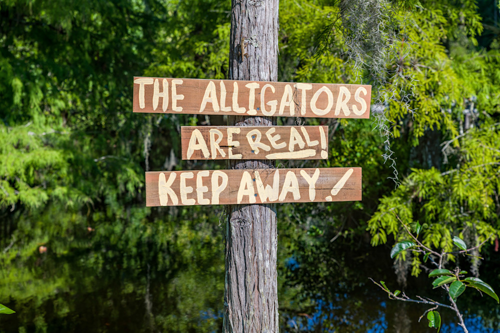 Keep Away, Not Today, Gator! Photography Art | kramkranphoto