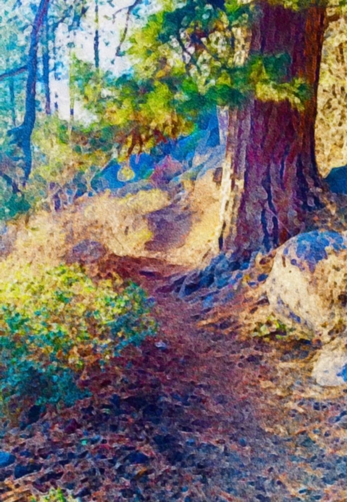 Meadow Camp Trail Art | Scott Dyer Fine Art