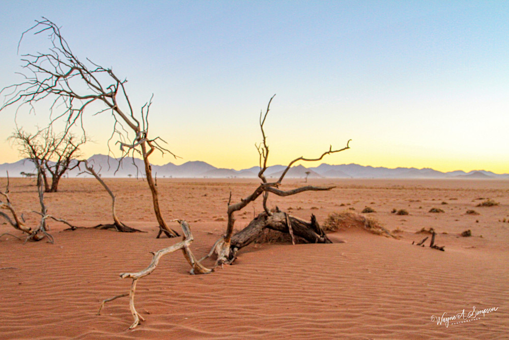 Namib Desert Photography Art | waynesimpson