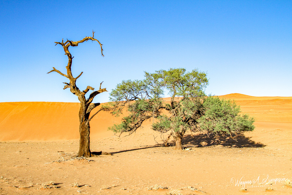 Namibia  Photography Art | waynesimpson
