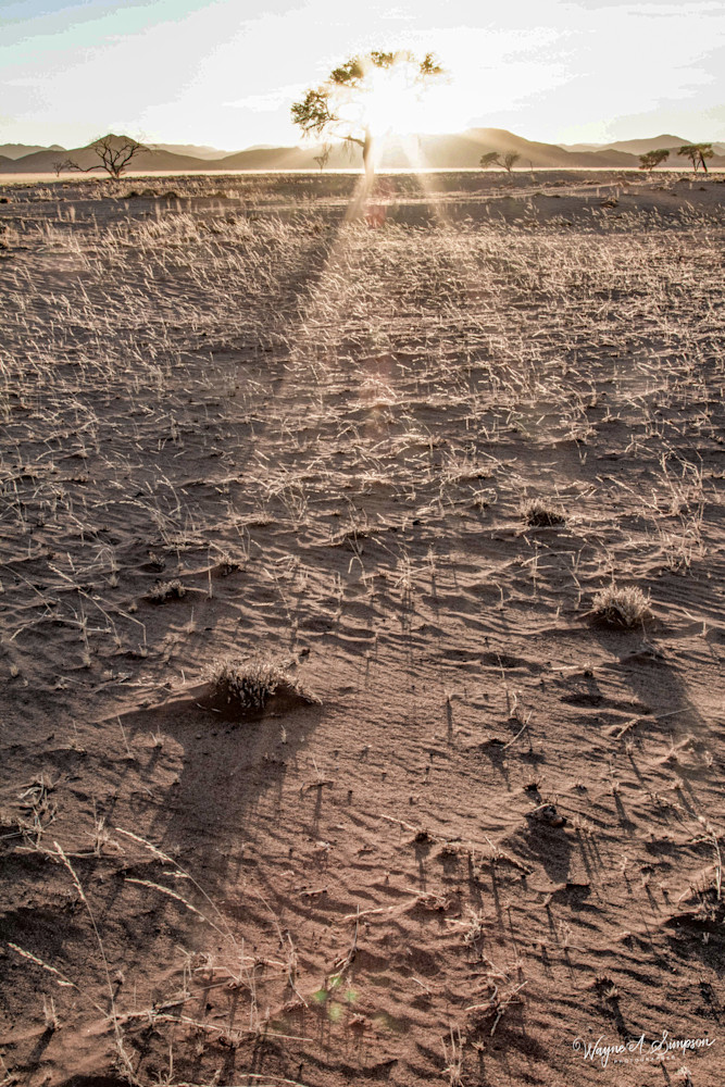 Namibia Sunset Starburst Photography Art | waynesimpson