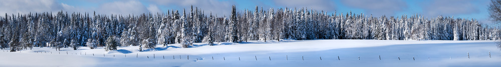 Winter Tug Hill Frozen Trees  Photography Art | Kurt Gardner Photography Gallery