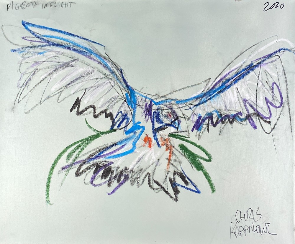 Pigeon In Flight Art | Chris Kappmeier Studio