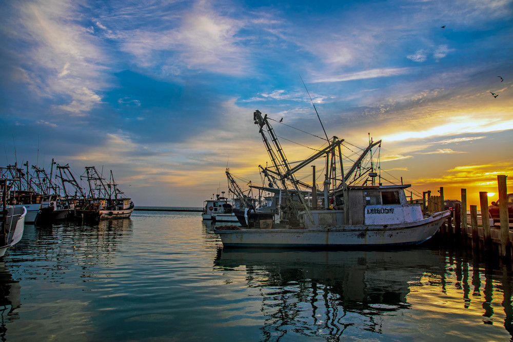 Dawn On The Docks Photography Art | J. Morris 683 Photography