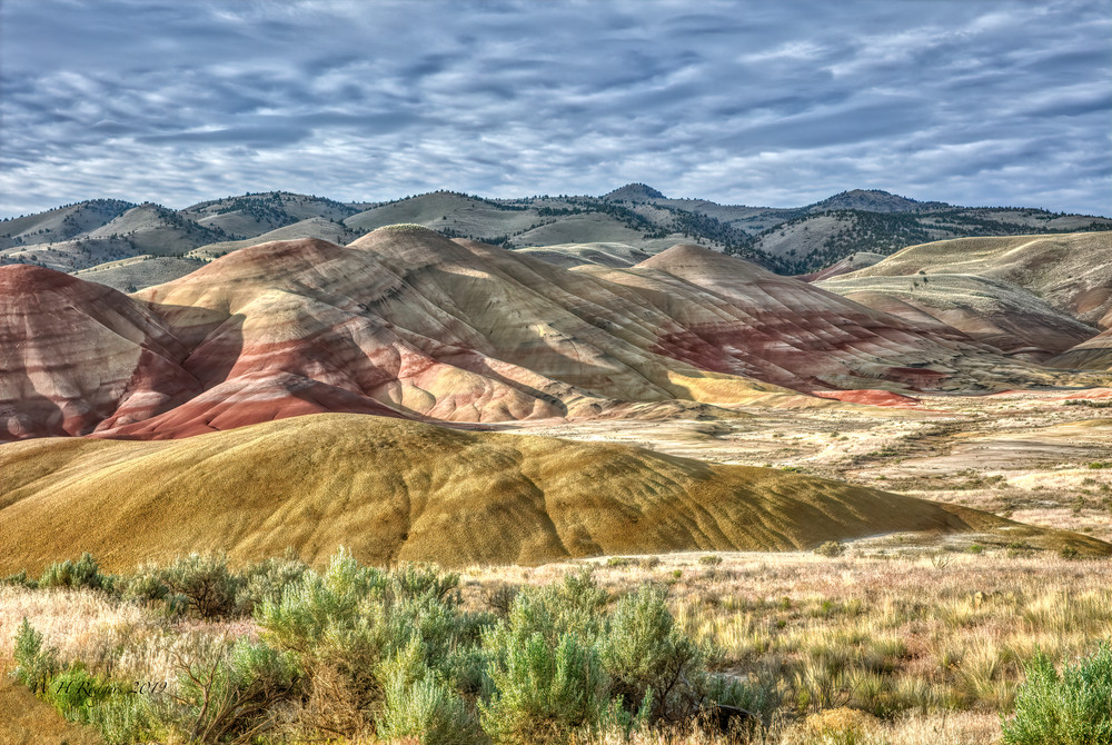 Painted Hills Sage Photography Art | Bill Rodgers Photography