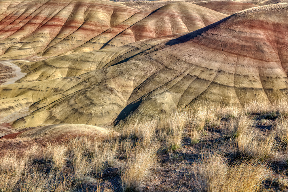 Painted Hills Grass Photography Art | Bill Rodgers Photography