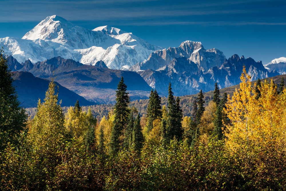 Southside view of Mt. Mckinley and Alaska range from Park Highway  fall  Southcentral, Alaska